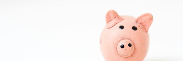 pink pig figurine on white surface